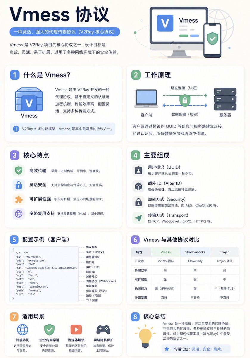 Chinese Vmess Protocol Infographic example image